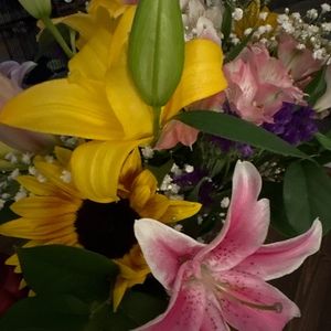 Meet your Posher, Kerstin